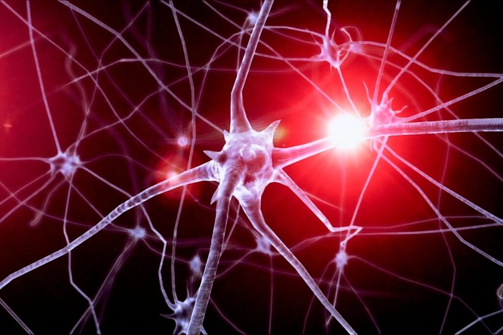 MS transcranial magnetic stimulation New Canaan CT physician Exomind Dr Alasio